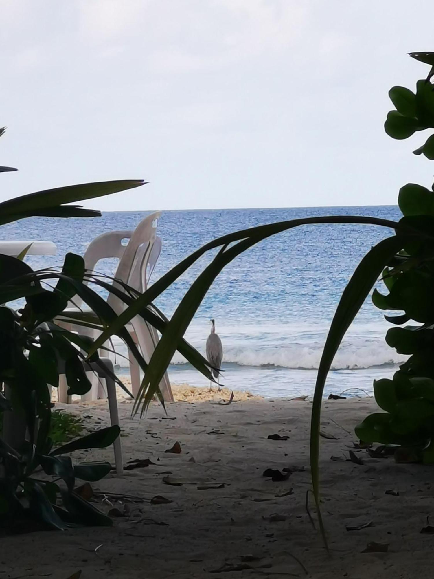 Beach Lily Dhigurah Hotel Dhigurah  Exterior photo